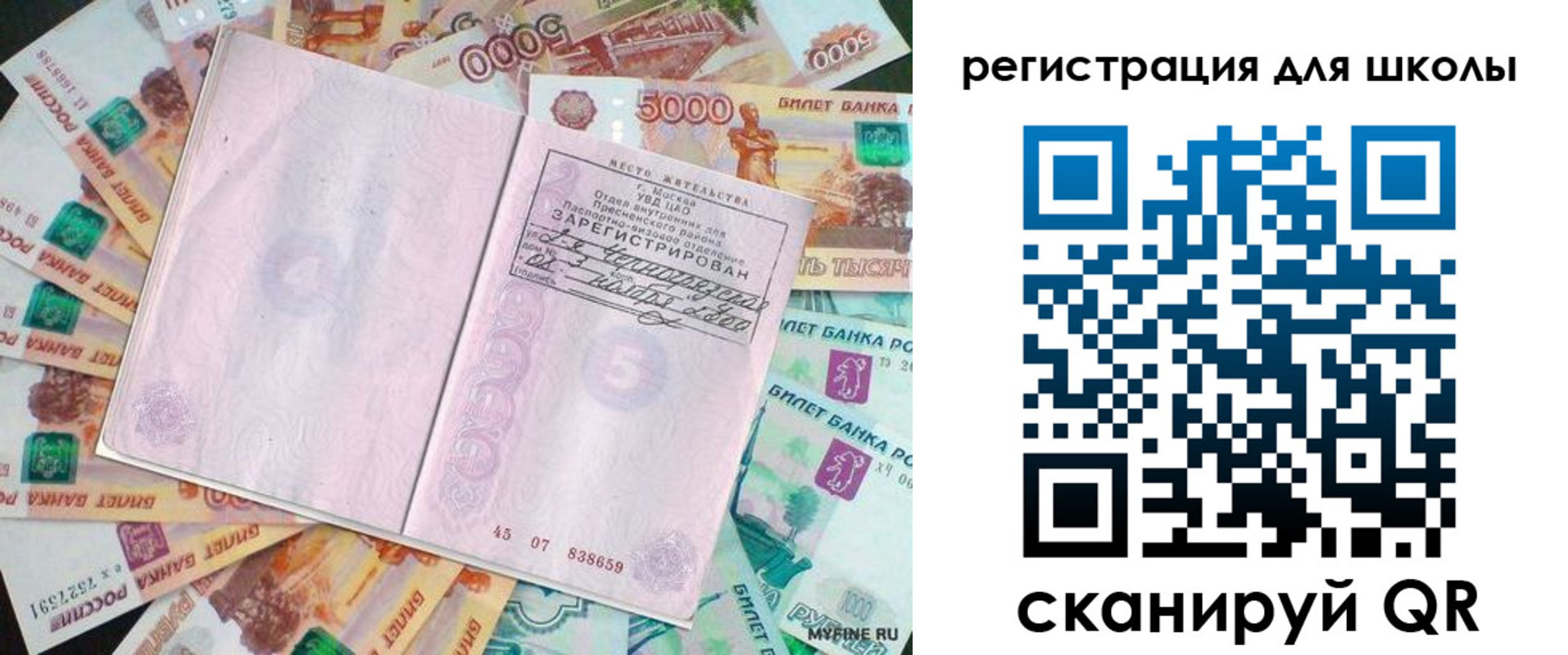 прописка для школы в Ясном